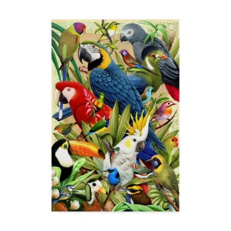Trademark Fine Art Howard Robinson 'Tropical Colorful Birds' Canvas Art, 22x32 ALI24106-C2232GG